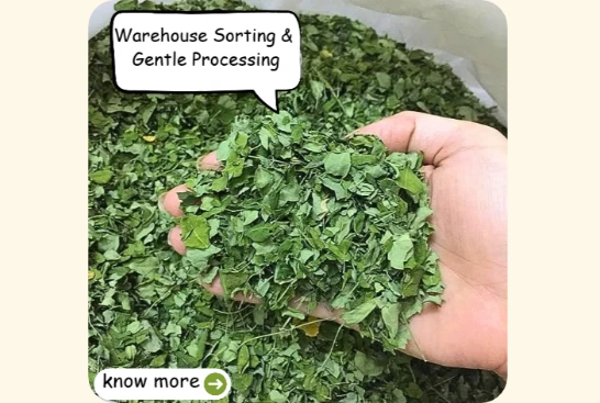 Moringa powder by island touch